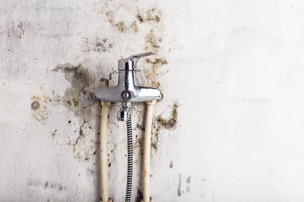 Best Kitchen Mold Remediation in Jonestown, TX