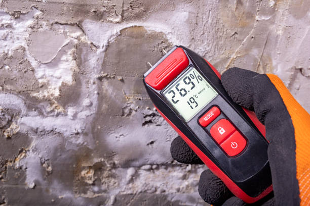 Best Emergency Mold Remediation in Jonestown, TX