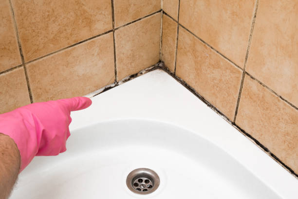 Best Insurance-Related Mold Remediation in Jonestown, TX